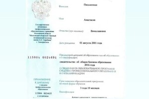 Диплом / сертификат №12 — Письменная Анастасия Вячеславовна