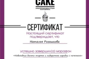 Диплом / сертификат №3 — Рогашкова Наталья Алексеевна