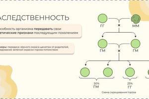 Портфолио №3 — Смирнов Артём Валерьевич