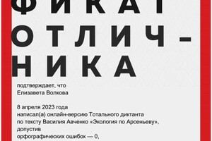 Диплом / сертификат №4 — Волкова Елизавета Андреевна