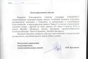 Диплом / сертификат №14 — Голубева Надежда Сергеевна