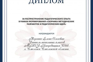 Диплом / сертификат №15 — Терешко Елена Олеговна