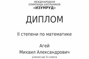 Диплом / сертификат №6 — Агей Михаил Александрович