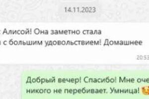 Отзывы с курсов Подготовки к школе — Алексеева Наталия Станиславовна