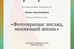 Диплом / сертификат №2 — Амельченко Анна Александровна