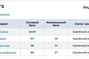 Диплом / сертификат №2 — Андреева Анна Владимировна