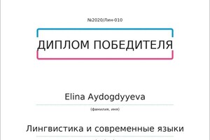 Диплом / сертификат №13 — Айдогдыева Элина