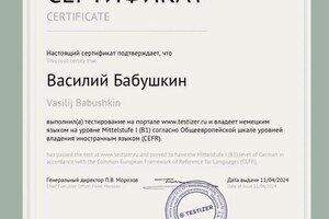 Диплом / сертификат №2 — Бабушкин Василий Андреевич