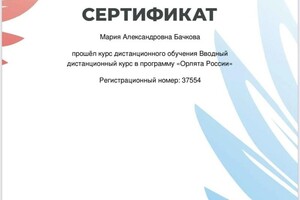 Диплом / сертификат №20 — Бачкова Мария Александровна