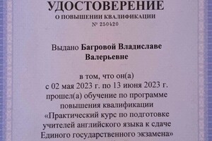 Диплом / сертификат №1 — Багрова Владислава Валерьевна