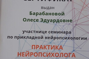 Теоретические знания в области нейропсихологии — Барабанова Олеся Эдуардовна