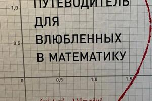 Я стану вашим путеводителем в прекрасный мир математики — Беляева Анастасия Сергеевна