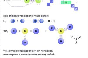 Описание обучения в группах; Пример конспектов; Мои дипломы — Безденежных Ксения Михайловна