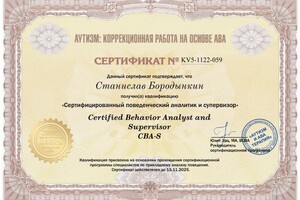 Диплом / сертификат №8 — Бородынкин Станислав Сергеевич