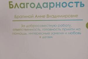 Благодарность — Брагина Анна Владимировна