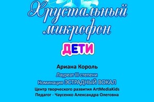 Диплом / сертификат №3 — Чаусенко Александра Олеговна