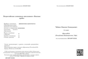 Диплом / сертификат №4 — Чебаев Максим Геннадьевич