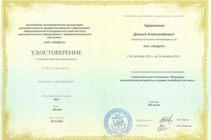 Диплом / сертификат №16 — Червоненко Даниил Александрович