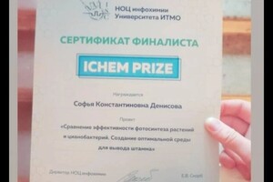 Диплом / сертификат №10 — Денисова Софья Константиновна