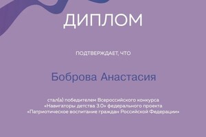 Диплом / сертификат №5 — Боброва Анастасия Михайловна