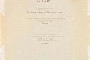 Диплом / сертификат №4 — Гребенюк Андрей Владимирович