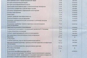 Диплом / сертификат №1 — Гречук Дарья Викторовна