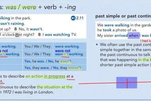 Past Continuous tense — Грызлова Александра Антоновна