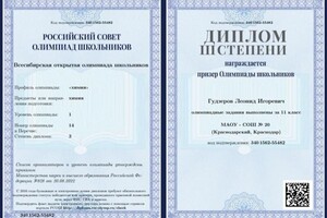 Диплом / сертификат №1 — Гудзеров Леонид Игоревич