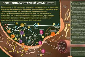 Портфолио №106 — Хон Анжелика Витальевна