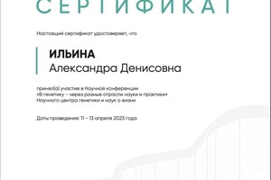 Диплом / сертификат №5 — Ильина Александра Денисовна