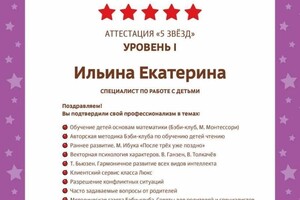 Диплом / сертификат №2 — Ильина Екатерина Сергеевна