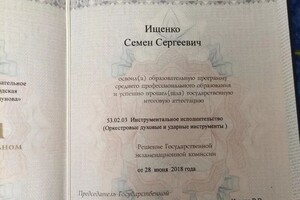 Диплом / сертификат №1 — Ищенко Семён Сергеевич