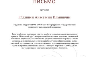 Диплом / сертификат №2 — Юллинен Анастасия Ильинична