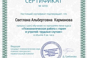 Диплом / сертификат №2 — Карманова Светлана Альбертовна