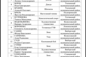 Диплом / сертификат №13 — Казновская Элина Тарасовна