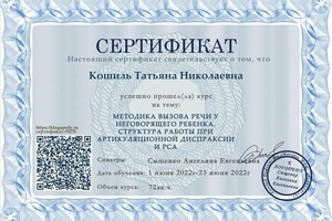 Диплом / сертификат №5 — Кошиль Татьяна Николаевна