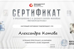 Диплом / сертификат №2 — Котова Александра Александровна