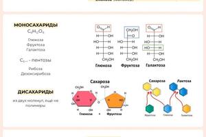 Пример презентации к уроку для 9 класса — Козлова Антонина Михайловна