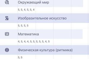 Повышение успеваемости. Российская гимназия при Государственном Русском музее, Санкт-Петербург — Кравцова Катерина Юрьевна