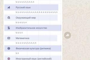 Повышение успеваемости. Российская гимназия при Государственном Русском музее, Санкт-Петербург — Кравцова Катерина Юрьевна