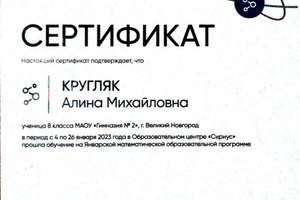 Диплом / сертификат №2 — Кругляк Алина Михайловна