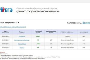 Мои результаты в 2019 году — Кулиева Александра Сергеевна