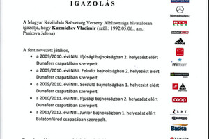 Документ о результатах спортивной деятельности по гандболу в Венгерской Республике. — Кузьмичёв Владимир Сергеевич