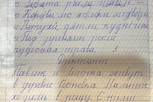 Заказ 61229556.Сережа 1 класс.15 занятий. — Кузнецова Светлана Николаевна