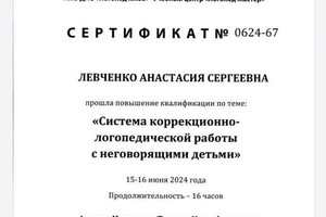 Диплом / сертификат №3 — Левченко Анастасия Сергеевна