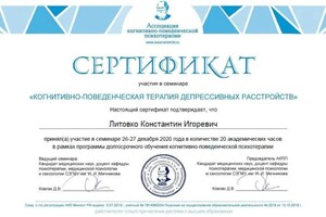 Диплом / сертификат №17 — Литовко Константин Игоревич