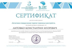 Диплом / сертификат №9 — Литовко Константин Игоревич