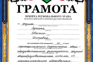 Грамота призера регионального этапа всероссийской олимпиады школьников по физике в 2016 — Федорова Евгения Игоревна