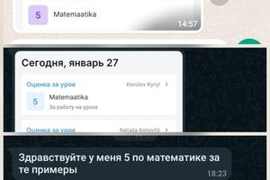 Повышение успеваемости с ребёнком из Эстонии, 8 класс. — Малыгина Вера Николаевна