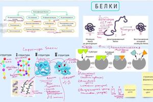 Фрагмент урока с интерактивной доской — Мелкова Варвара Артуровна